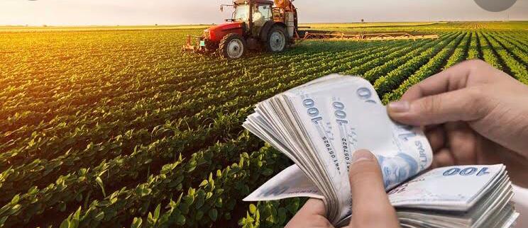 KIRSAL KALKINMA YATIRIMLARININ DESTEKLENMESİ